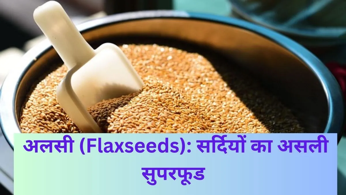 Flaxseeds यानी अलसी—सर्दियों का सुपरफूड।इसके वैज्ञानिक स्वास्थ्य लाभ, जो दिल, वजन घटाने, त्वचा और इम्यूनिटी के लिए फायदेमंद हैं।
