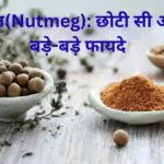 जायफल Nutmeg छोटी सी औषधि बड़े-बड़े फायदे