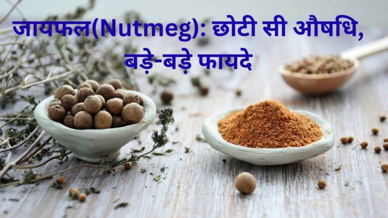जायफल Nutmeg छोटी सी औषधि बड़े-बड़े फायदे