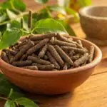 Pippali(पिप्पली) के आयुर्वेदिक फायदे और उपयोग