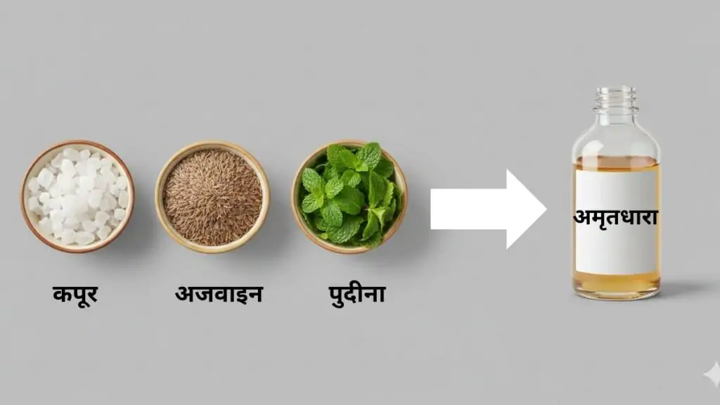 अमृतधारा के 3 मुख्य घटक कपूर अजवाइन पुदीना