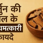 अर्जुन की छाल