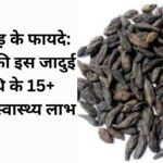 छोटी हरड़ के फायदे (Choti Harad ke fayde) औषधीय लाभ, उपयोग और नुकसान