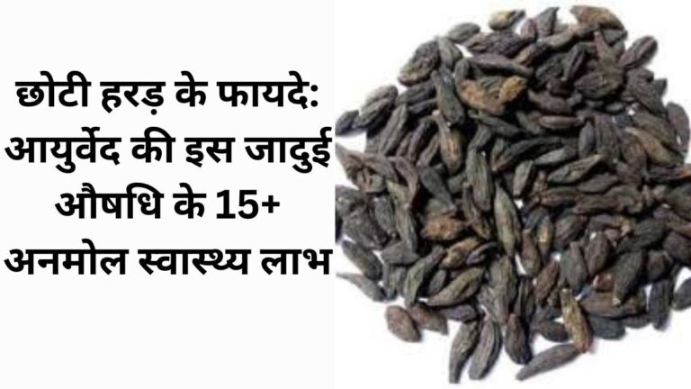 छोटी हरड़ के फायदे (Choti Harad ke fayde) औषधीय लाभ, उपयोग और नुकसान
