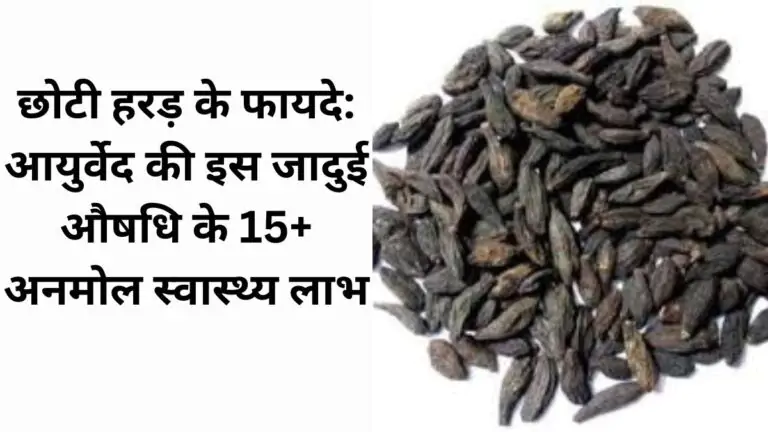 छोटी हरड़ के फायदे (Choti Harad ke fayde) औषधीय लाभ, उपयोग और नुकसान